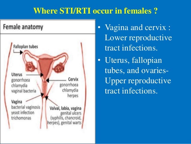 upper tract girls By age 5, about 8% of girls and 1-2% of boys have had at least one urinary tract infection (uti) most children who have one uti will not have another. upper tract girls By age 5, about 8% of girls and 1-2% of boys have had at least one urinary tract infection (uti) most children who have one uti will not have another.