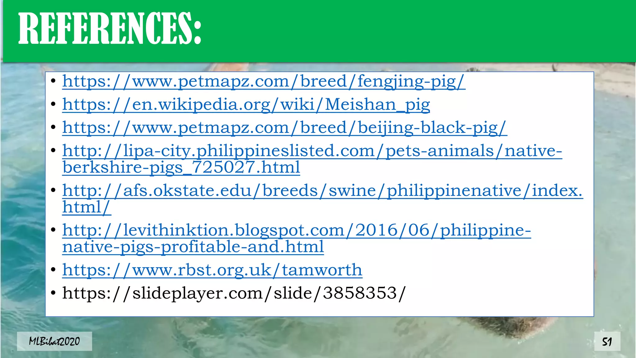 • https://www.petmapz.com/breed/fengjing-pig/
• https://en.wikipedia.org/wiki/Meishan_pig
• https://www.petmapz.com/breed/beijing-black-pig/
• http://lipa-city.philippineslisted.com/pets-animals/native-
berkshire-pigs_725027.html
• http://afs.okstate.edu/breeds/swine/philippinenative/index.
html/
• http://levithinktion.blogspot.com/2016/06/philippine-
native-pigs-profitable-and.html
• https://www.rbst.org.uk/tamworth
• https://slideplayer.com/slide/3858353/
REFERENCES:
51
MLBibat2020
 