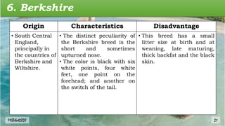 6. Berkshire
Origin Characteristics Disadvantage
• South Central
England,
principally in
the countries of
Berkshire and
Wiltshire.
• The distinct peculiarity of
the Berkshire breed is the
short and sometimes
upturned nose.
• The color is black with six
white points, four white
feet, one point on the
forehead; and another on
the switch of the tail.
• This breed has a small
litter size at birth and at
weaning, late maturing,
thick backfat and the black
skin.
MLBibat2020 21
 