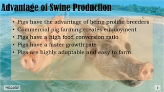 Advantage of Swine Production
• Pigs have the advantage of being prolific breeders
• Commercial pig farming creates employment
• Pigs have a high food conversion ratio
• Pigs have a faster growth rate
• Pigs are highly adaptable and easy to farm
MLBibat2020 4
 
