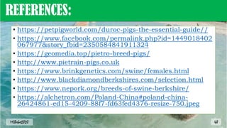REFERENCES:
• https://petpigworld.com/duroc-pigs-the-essential-guide//
• https://www.facebook.com/permalink.php?id=1449018402
067977&story_fbid=2350584841911324
• https://geomedia.top/pietro-breed-pigs/
• http://www.pietrain-pigs.co.uk
• https://www.brinkgenetics.com/swine/females.html
• http://www.blackdiamondberkshires.com/selection.html
• https://www.nepork.org/breeds-of-swine-berkshire/
• https://alchetron.com/Poland-China#poland-china-
26424861-ed15-4209-88f7-fd63fed4376-resize-750.jpeg
48
MLBibat2020
 