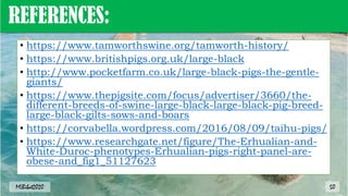 REFERENCES:
• https://www.tamworthswine.org/tamworth-history/
• https://www.britishpigs.org.uk/large-black
• http://www.pocketfarm.co.uk/large-black-pigs-the-gentle-
giants/
• https://www.thepigsite.com/focus/advertiser/3660/the-
different-breeds-of-swine-large-black-large-black-pig-breed-
large-black-gilts-sows-and-boars
• https://corvabella.wordpress.com/2016/08/09/taihu-pigs/
• https://www.researchgate.net/figure/The-Erhualian-and-
White-Duroc-phenotypes-Erhualian-pigs-right-panel-are-
obese-and_fig1_51127623
50
MLBibat2020
 