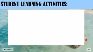 STUDENT LEARNING ACTIVITIES:
53
MLBibat2020
 