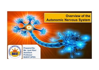 Overview of the
Autonomic Nervous System
Prepared By:
Ms. Jyoti Rani
Assistant
Professor
BUEST,SPES
 