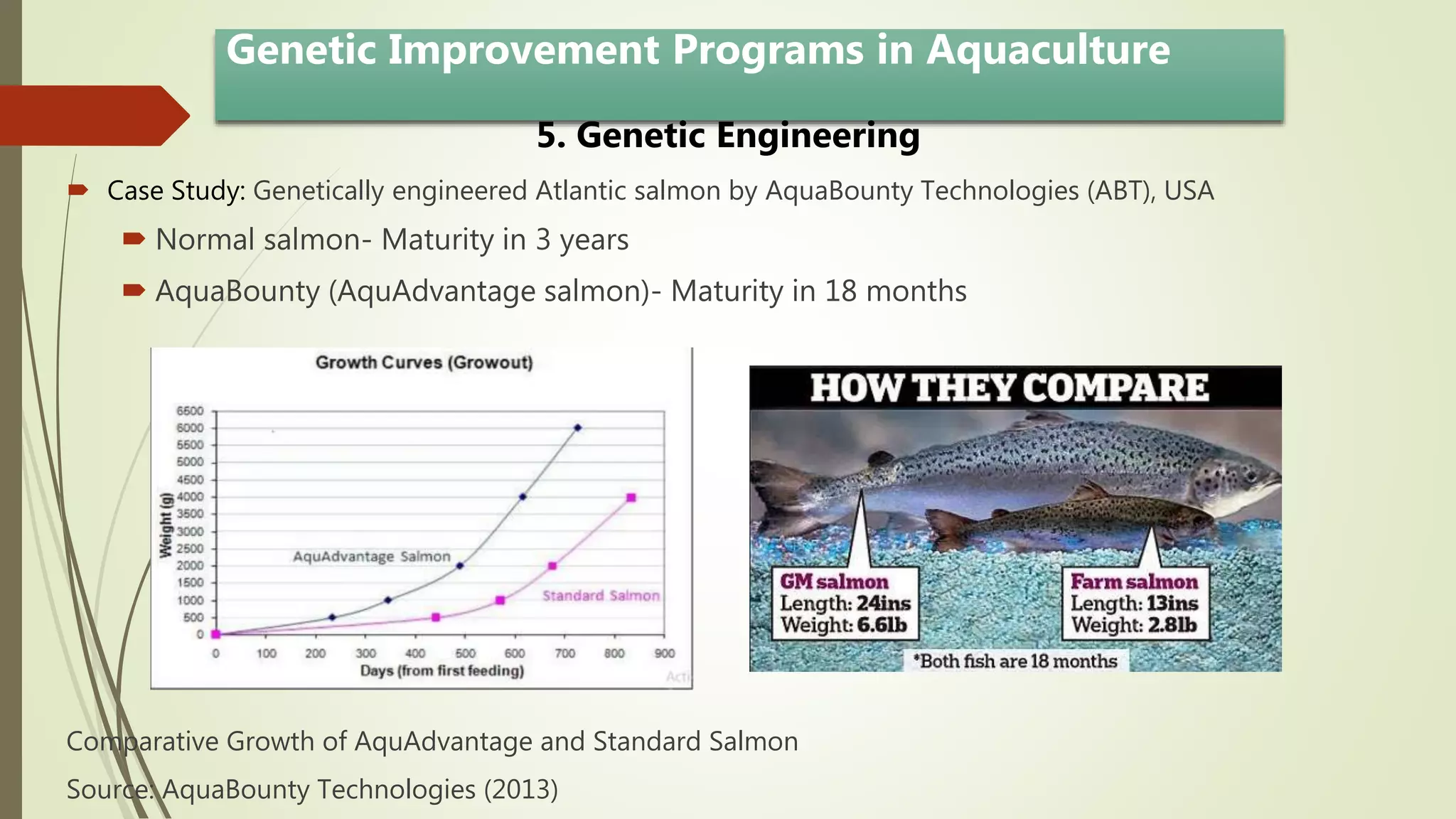 5. Genetic Engineering
 Case Study: Genetically engineered Atlantic salmon by AquaBounty Technologies (ABT), USA
 Normal salmon- Maturity in 3 years
 AquaBounty (AquAdvantage salmon)- Maturity in 18 months
Comparative Growth of AquAdvantage and Standard Salmon
Source: AquaBounty Technologies (2013)
Genetic Improvement Programs in Aquaculture
 