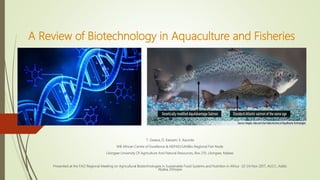 A Review of Biotechnology in Aquaculture and Fisheries
T. Gwaza, D. Kassam, E. Kaunda
WB African Centre of Excellence & NEPAD/SANBio Regional Fish Node
Lilongwe University Of Agriculture And Natural Resources, Box 219, Lilongwe, Malawi
Presented at the FAO Regional Meeting on Agricultural Biotechnologies in Sustainable Food Systems and Nutrition in Africa- 22-24 Nov 2017, AUCC, Addis
Ababa, Ethiopia
 