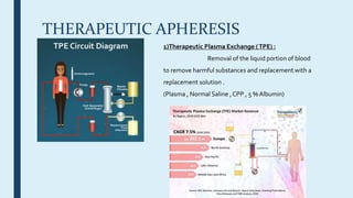 Overview of the Department of Blood Bank ,Transfusion Medicine ...