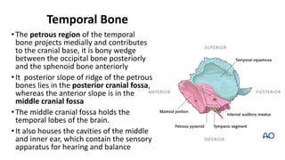 Petrous Ridge Positioning Chart OVERVIEW OF THE HEAD REGION.pptx.pdf