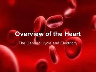 Overview of the Heart
The Cardiac Cycle and Electricity

 