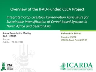 Overview of the IFAD-Funded CLCA Project 
Integrated Crop-Livestock Conservation Agriculture for 
Sustainable Intensification of Cereal-based Systems in 
North Africa and Central Asia 
Hichem BEN SALEM 
Director DSIPSP 
ICARDA Focal Point CRP DS 
Annual Consultation Meeting 
IFAD - ICARDA 
Amman 
October 21-22, 2014 
 