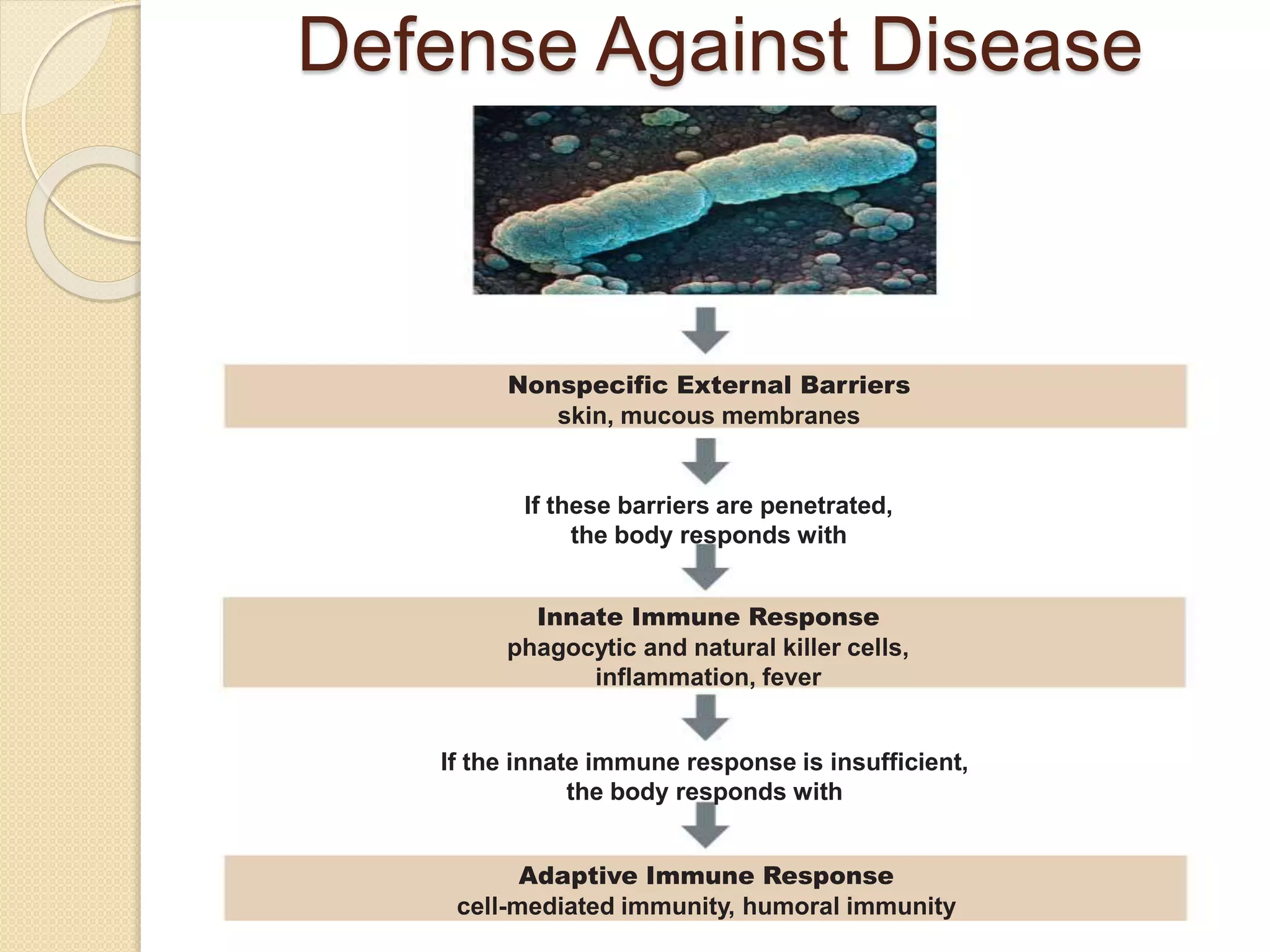 Overview of the immune system | PPTX