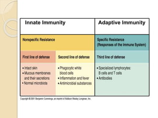 Overview of the immune system | PPTX