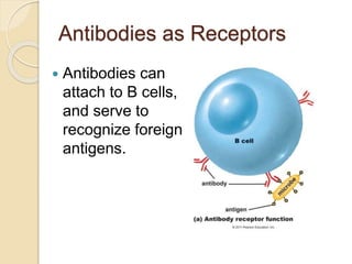 Overview of the immune system | PPTX