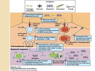 Overview of the immune system | PPTX