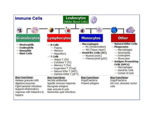 OVERVIEW OF THE IMMUNE SYSTEM AND BODY'S DEFENCE SYSTEM.pdf