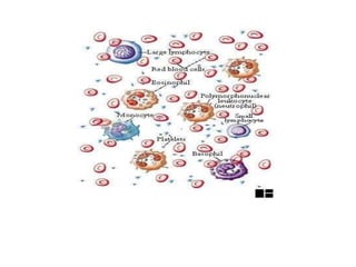 OVERVIEW OF THE IMMUNE SYSTEM AND BODY'S DEFENCE SYSTEM.pdf