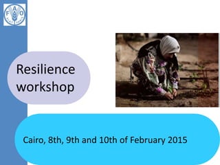 Cairo, 8th, 9th and 10th of February 2015
Resilience
workshop
 
