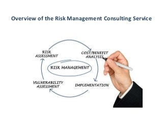 Overview of the Risk Management Consulting Service
 