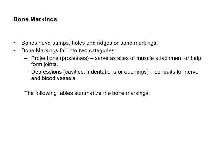 overview of the skeleton exercise 9 which of the following bone markings helps form joints