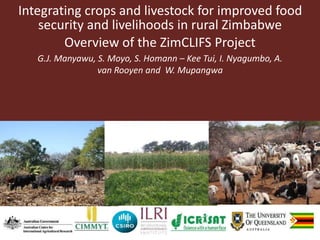 Integrating crops and livestock for improved food
security and livelihoods in rural Zimbabwe
Overview of the ZimCLIFS Project
G.J. Manyawu, S. Moyo, S. Homann – Kee Tui, I. Nyagumbo, A.
van Rooyen and W. Mupangwa
 