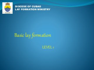 Basic lay formation 
LEVEL 1 
DIOCESE OF CUBAO 
LAY FORMATION MINISTRY 
 