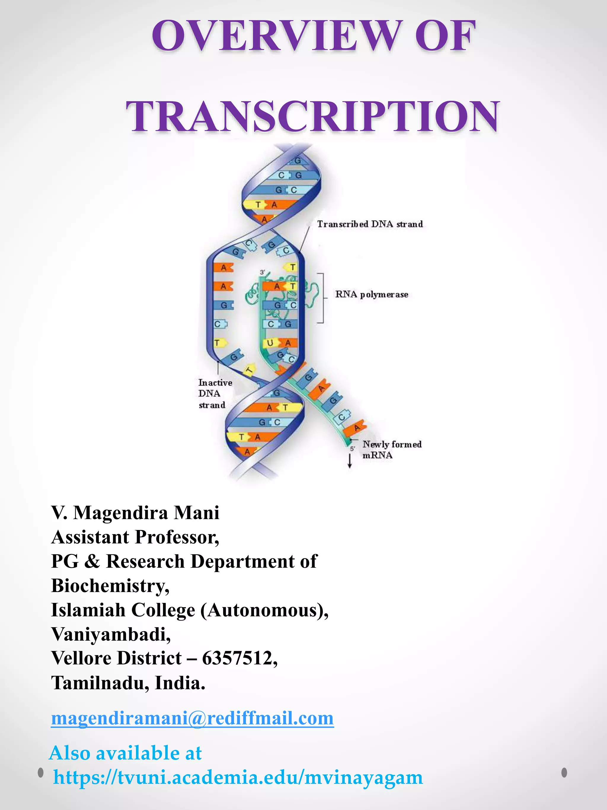 Overview of transcription | PPTX