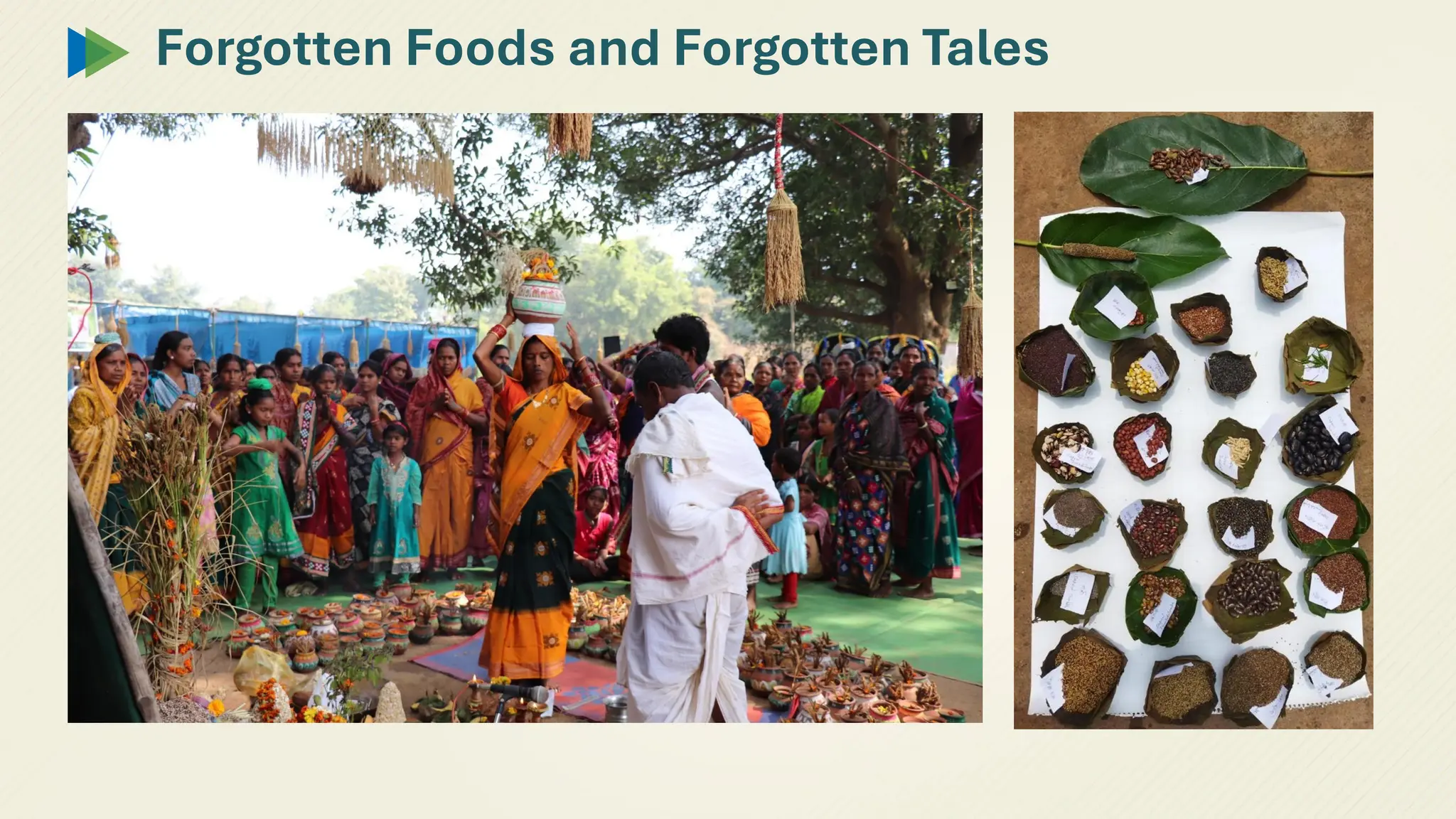 Forgotten Foods and Forgotten Tales
 