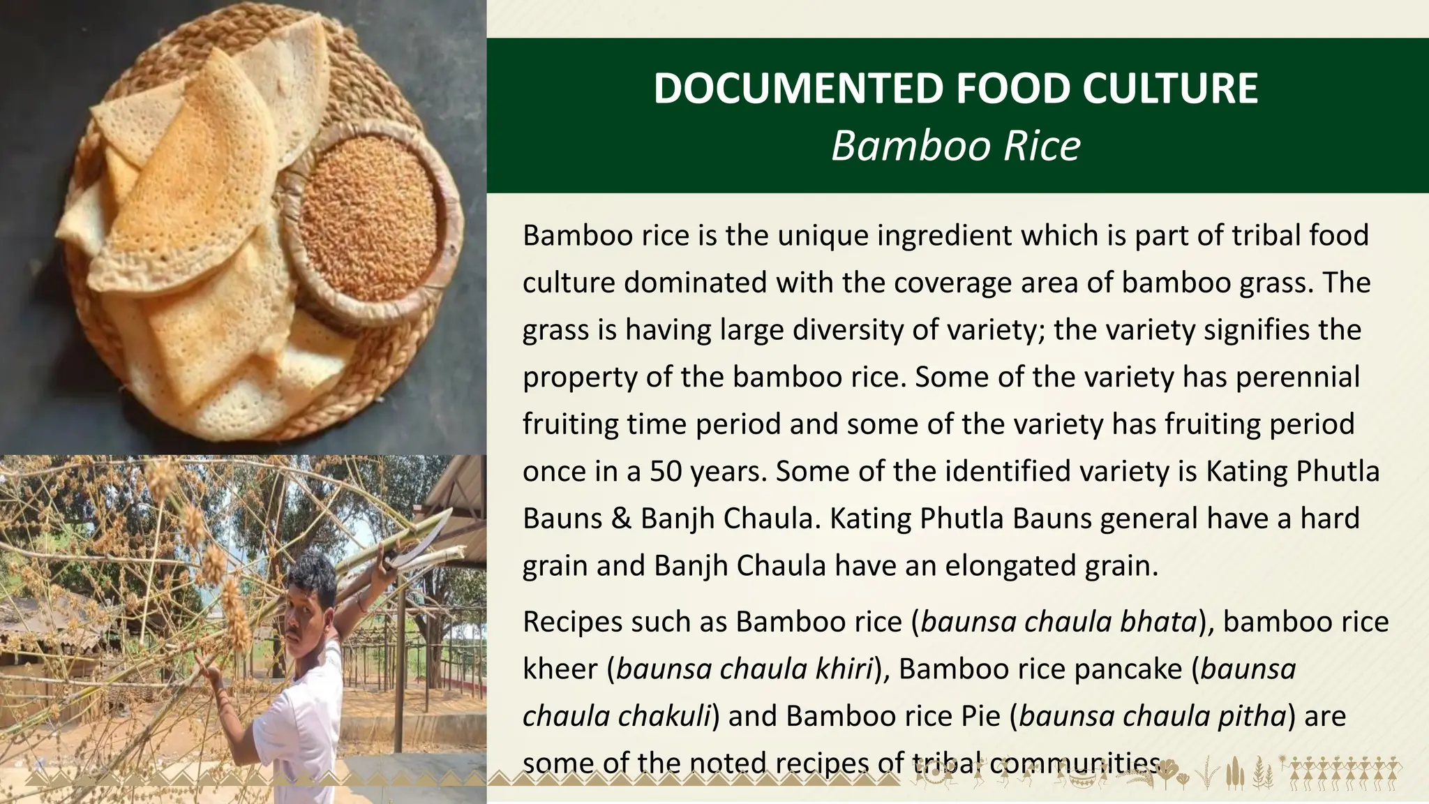 DOCUMENTED FOOD CULTURE
Bamboo Rice
Bamboo rice is the unique ingredient which is part of tribal food
culture dominated with the coverage area of bamboo grass. The
grass is having large diversity of variety; the variety signifies the
property of the bamboo rice. Some of the variety has perennial
fruiting time period and some of the variety has fruiting period
once in a 50 years. Some of the identified variety is Kating Phutla
Bauns & Banjh Chaula. Kating Phutla Bauns general have a hard
grain and Banjh Chaula have an elongated grain.
Recipes such as Bamboo rice (baunsa chaula bhata), bamboo rice
kheer (baunsa chaula khiri), Bamboo rice pancake (baunsa
chaula chakuli) and Bamboo rice Pie (baunsa chaula pitha) are
some of the noted recipes of tribal communities.
 