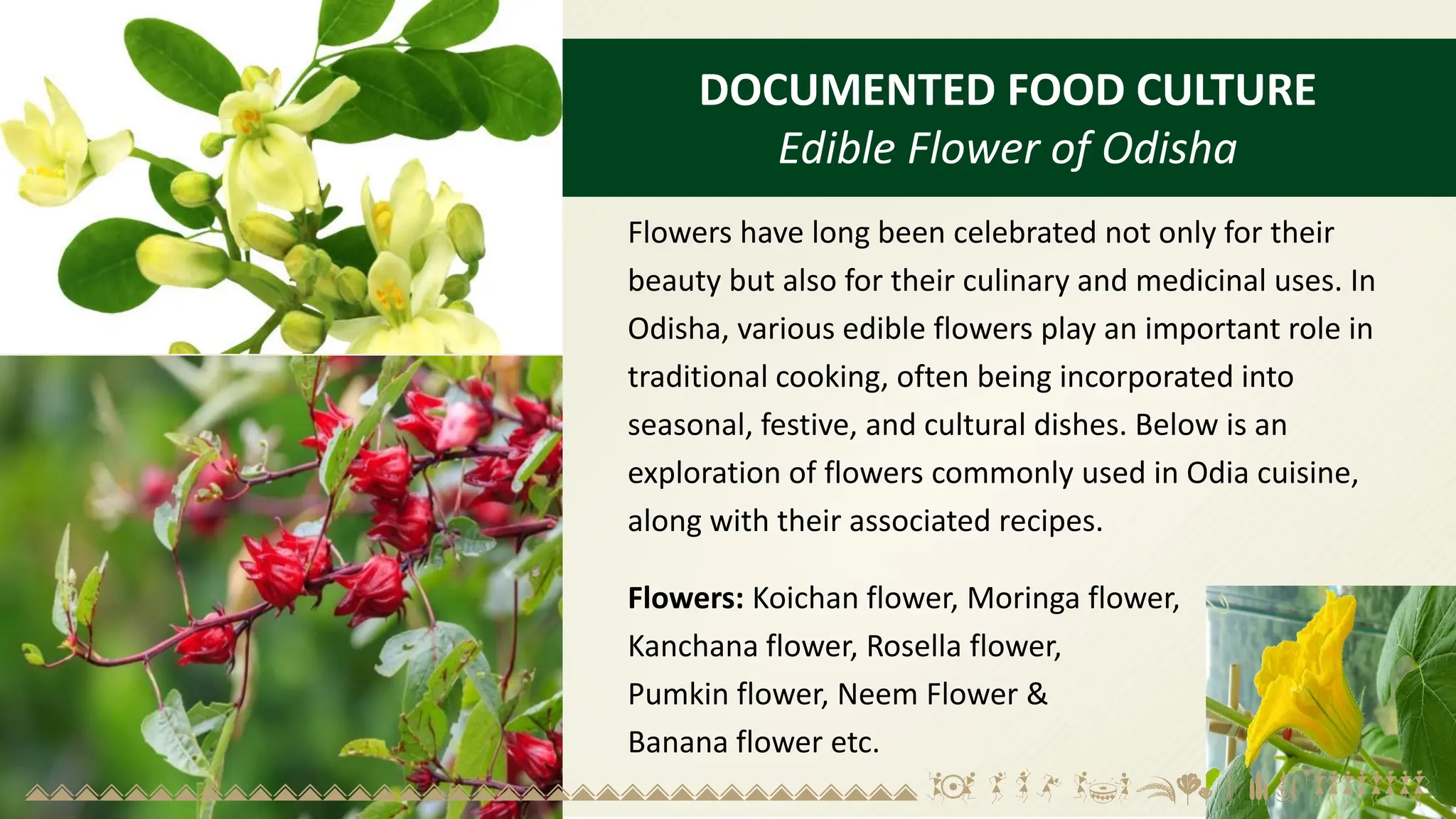 DOCUMENTED FOOD CULTURE
Edible Flower of Odisha
Flowers have long been celebrated not only for their
beauty but also for their culinary and medicinal uses. In
Odisha, various edible flowers play an important role in
traditional cooking, often being incorporated into
seasonal, festive, and cultural dishes. Below is an
exploration of flowers commonly used in Odia cuisine,
along with their associated recipes.
Flowers: Koichan flower, Moringa flower,
Kanchana flower, Rosella flower,
Pumkin flower, Neem Flower &
Banana flower etc.
 