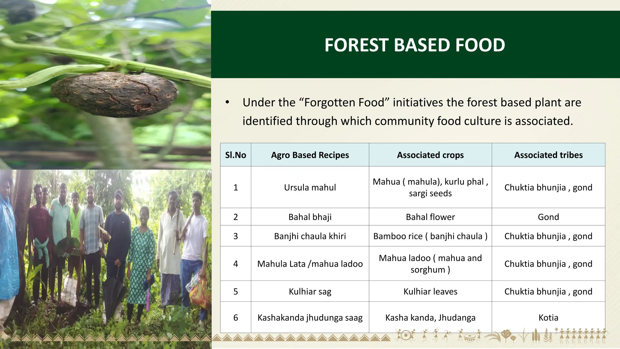 FOREST BASED FOOD
• Under the “Forgotten Food” initiatives the forest based plant are
identified through which community food culture is associated.
Sl.No Agro Based Recipes Associated crops Associated tribes
1 Ursula mahul
Mahua ( mahula), kurlu phal ,
sargi seeds
Chuktia bhunjia , gond
2 Bahal bhaji Bahal flower Gond
3 Banjhi chaula khiri Bamboo rice ( banjhi chaula ) Chuktia bhunjia , gond
4 Mahula Lata /mahua ladoo
Mahua ladoo ( mahua and
sorghum )
Chuktia bhunjia , gond
5 Kulhiar sag Kulhiar leaves Chuktia bhunjia , gond
6 Kashakanda jhudunga saag Kasha kanda, Jhudanga Kotia
 