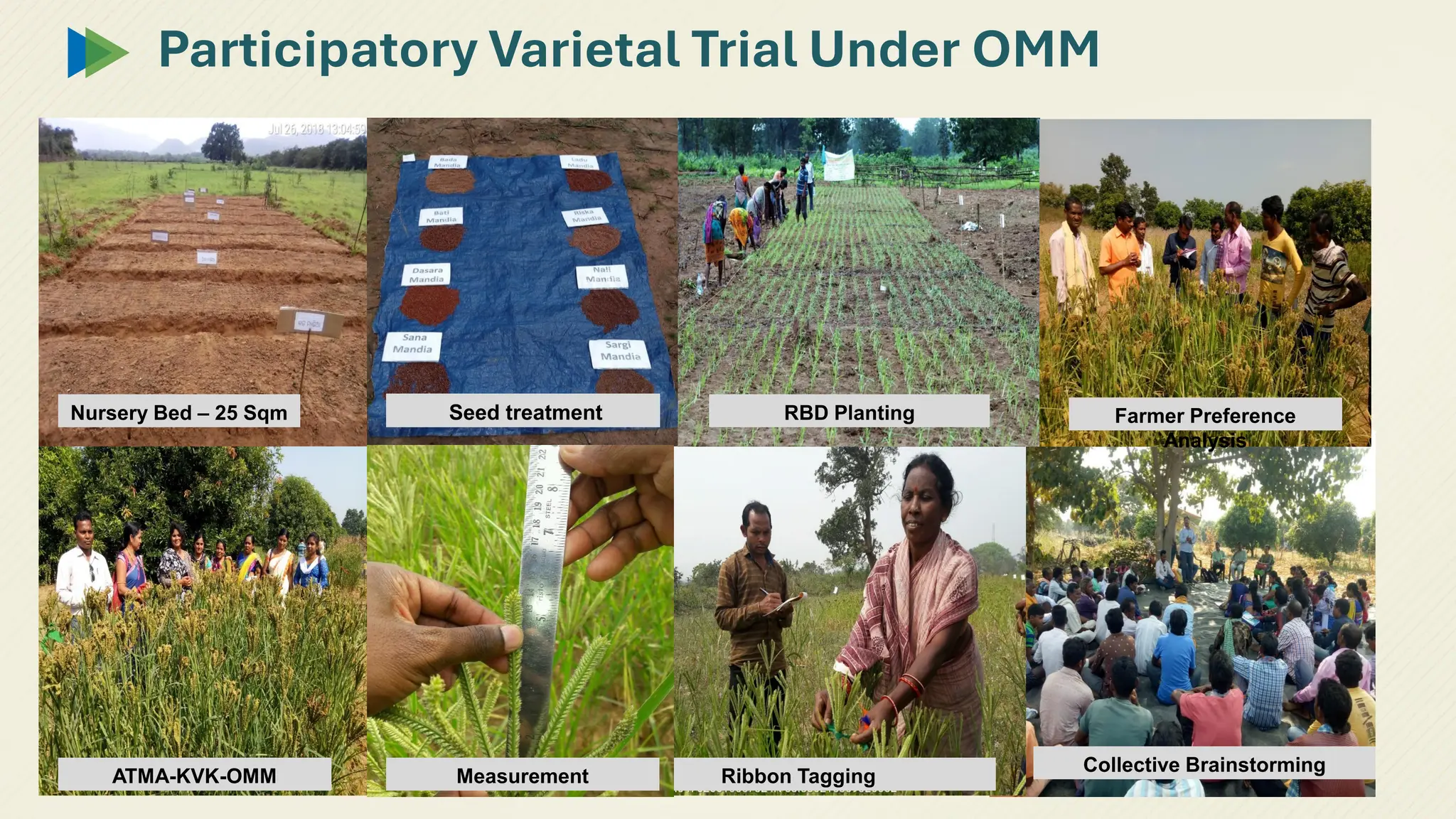 Participatory Varietal Trial Under OMM
Nursery Bed – 25 Sqm
Ribbon Tagging for different
landraces
Collective Brainstorming
Seed treatment
Ribbon Tagging
RBD Planting Farmer Preference
Analysis
ATMA-KVK-OMM Measurement
 