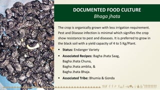 DOCUMENTED FOOD CULTURE
Bhaga jhata
The crop is organically grown with less irrigation requirement.
Pest and Disease infection is minimal which signifies the crop
show resistance to pest and diseases. It is preferred to grow in
the black soil with a yield capacity of 4 to 5 Kg/Plant.
▪ Status: Endanger Variety
▪ Associated Recipes: Bagha Jhata Saag,
Bagha Jhata Chuna,
Bagha Jhata amblia, &
Bagha Jhata Bhaja.
▪ Associated Tribe: Bhumia & Gonda
 