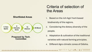 Criteria of selection of
the Areas
1. Based on the rich Agri/ horti based
biodiversity of the regions.
2. Considering the dietary diversity of the
people.
3. Adaptation & cultivation of the traditional
varieties with natural farming principles.
4. Different Agro climatic zones of Odisha.
25 Block
15
District
8
Climatic
Zone
10 Hot-
Spots
Shortlisted Areas
Proposed by Tech.
Committee
 