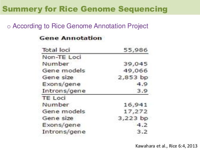 overview on arabidopsis and rice genome arabidopsis genome size
