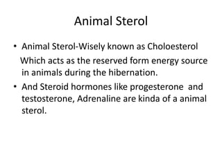 Animal Sterol
• Animal Sterol-Wisely known as Choloesterol
Which acts as the reserved form energy source
in animals during the hibernation.
• And Steroid hormones like progesterone and
testosterone, Adrenaline are kinda of a animal
sterol.
 