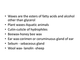 • Waxes are the esters of fatty acids and alcohol
other than glycerol
• Plant waxes-Aquatic animals
• Cutin-cuticle of hydrophiles
• Beewax-honey bee wax
• Ear wax-cerimen or ceruminuous gland of ear
• Sebum - sebaceous gland
• Wool wax- lanolin -sheep
 