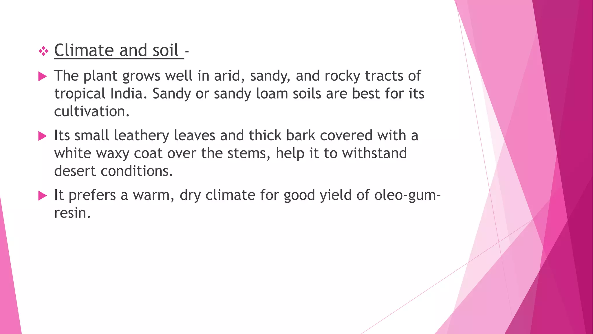  Climate and soil -
 The plant grows well in arid, sandy, and rocky tracts of
tropical India. Sandy or sandy loam soils are best for its
cultivation.
 Its small leathery leaves and thick bark covered with a
white waxy coat over the stems, help it to withstand
desert conditions.
 It prefers a warm, dry climate for good yield of oleo-gum-
resin.
 