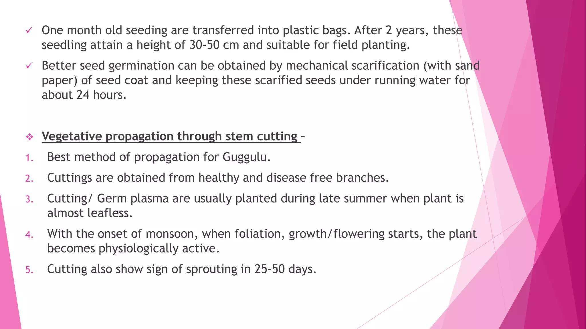  One month old seeding are transferred into plastic bags. After 2 years, these
seedling attain a height of 30-50 cm and suitable for field planting.
 Better seed germination can be obtained by mechanical scarification (with sand
paper) of seed coat and keeping these scarified seeds under running water for
about 24 hours.
 Vegetative propagation through stem cutting –
1. Best method of propagation for Guggulu.
2. Cuttings are obtained from healthy and disease free branches.
3. Cutting/ Germ plasma are usually planted during late summer when plant is
almost leafless.
4. With the onset of monsoon, when foliation, growth/flowering starts, the plant
becomes physiologically active.
5. Cutting also show sign of sprouting in 25-50 days.
 