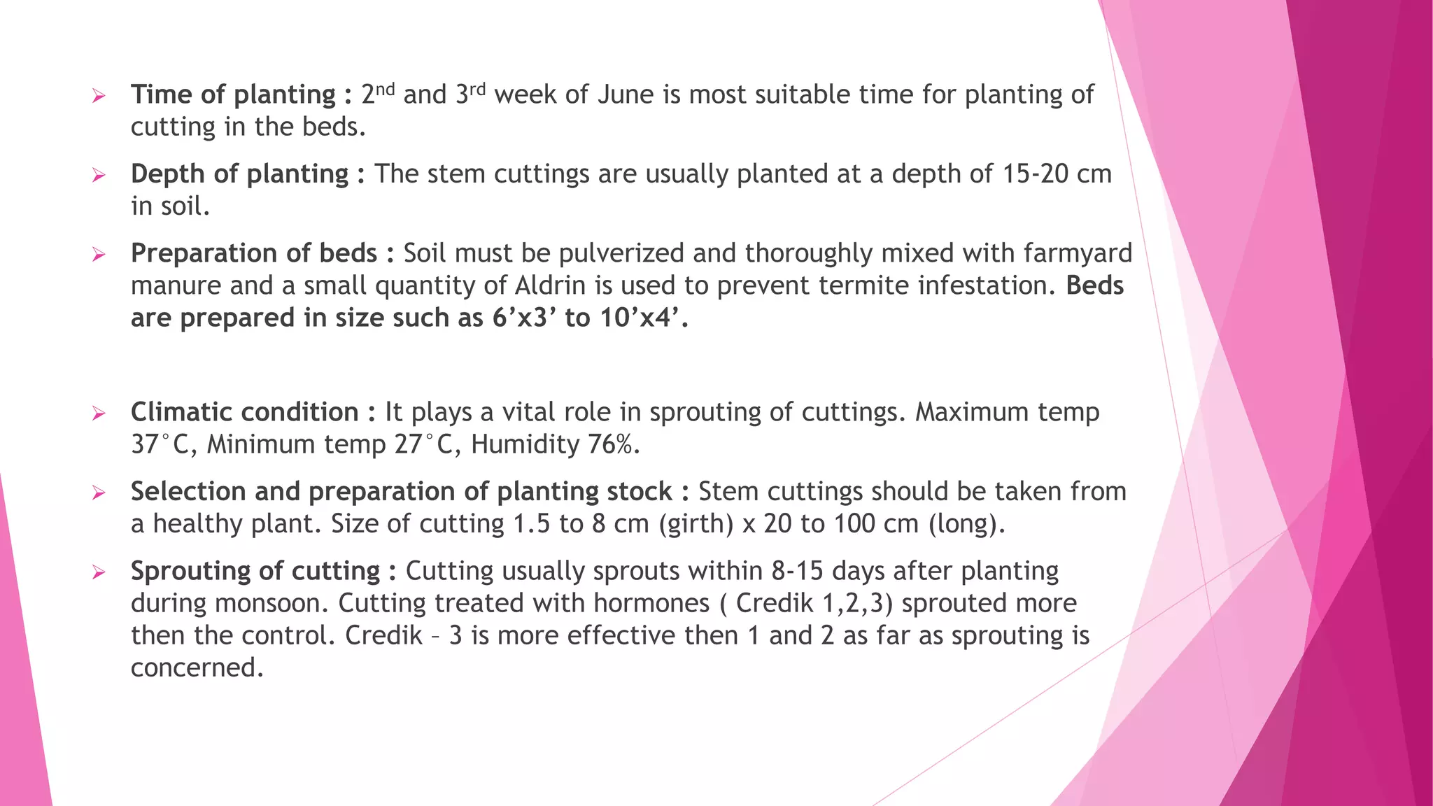  Time of planting : 2nd and 3rd week of June is most suitable time for planting of
cutting in the beds.
 Depth of planting : The stem cuttings are usually planted at a depth of 15-20 cm
in soil.
 Preparation of beds : Soil must be pulverized and thoroughly mixed with farmyard
manure and a small quantity of Aldrin is used to prevent termite infestation. Beds
are prepared in size such as 6’x3’ to 10’x4’.
 Climatic condition : It plays a vital role in sprouting of cuttings. Maximum temp
37°C, Minimum temp 27°C, Humidity 76%.
 Selection and preparation of planting stock : Stem cuttings should be taken from
a healthy plant. Size of cutting 1.5 to 8 cm (girth) x 20 to 100 cm (long).
 Sprouting of cutting : Cutting usually sprouts within 8-15 days after planting
during monsoon. Cutting treated with hormones ( Credik 1,2,3) sprouted more
then the control. Credik – 3 is more effective then 1 and 2 as far as sprouting is
concerned.
 