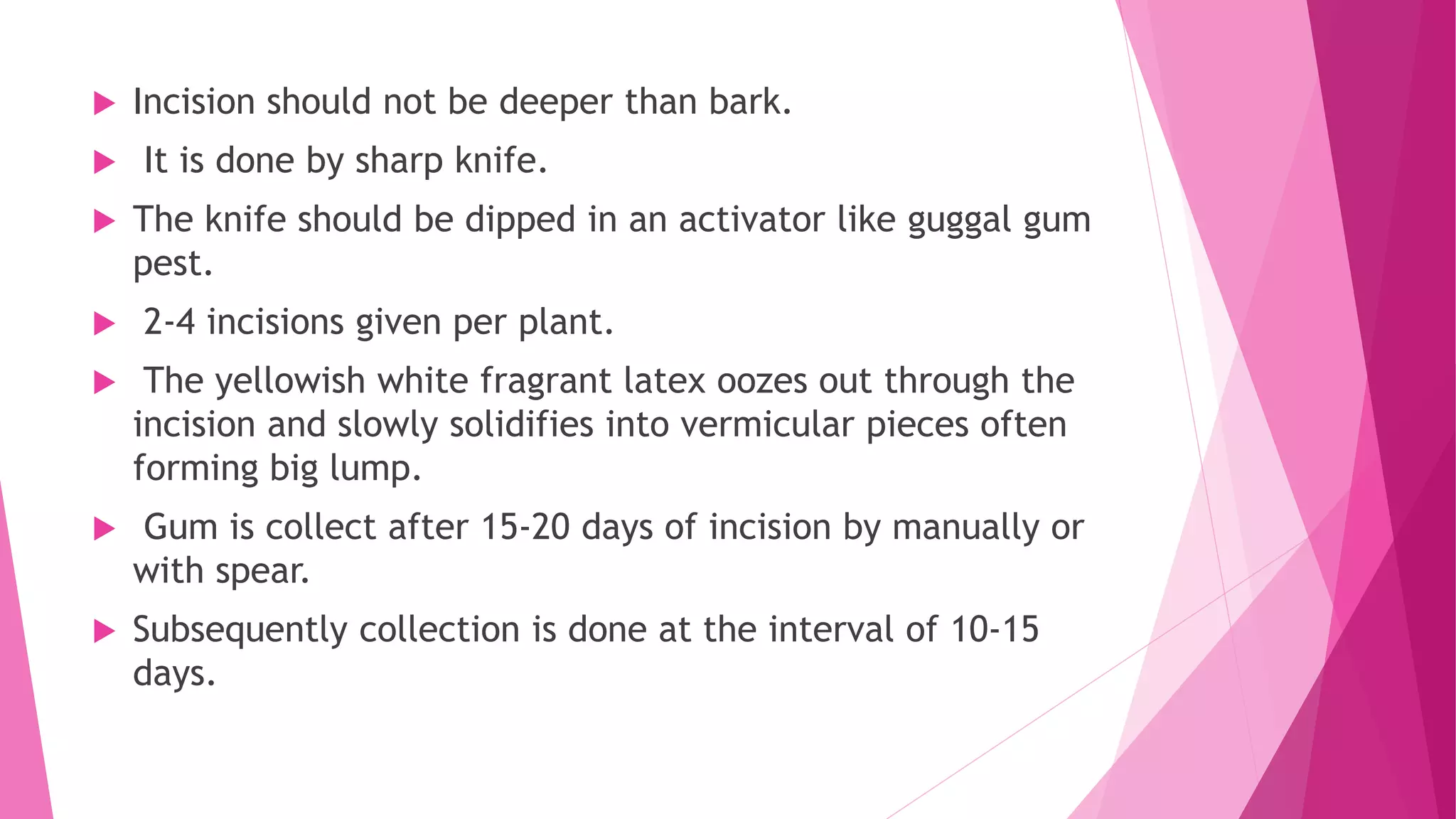  Incision should not be deeper than bark.
 It is done by sharp knife.
 The knife should be dipped in an activator like guggal gum
pest.
 2-4 incisions given per plant.
 The yellowish white fragrant latex oozes out through the
incision and slowly solidifies into vermicular pieces often
forming big lump.
 Gum is collect after 15-20 days of incision by manually or
with spear.
 Subsequently collection is done at the interval of 10-15
days.
 