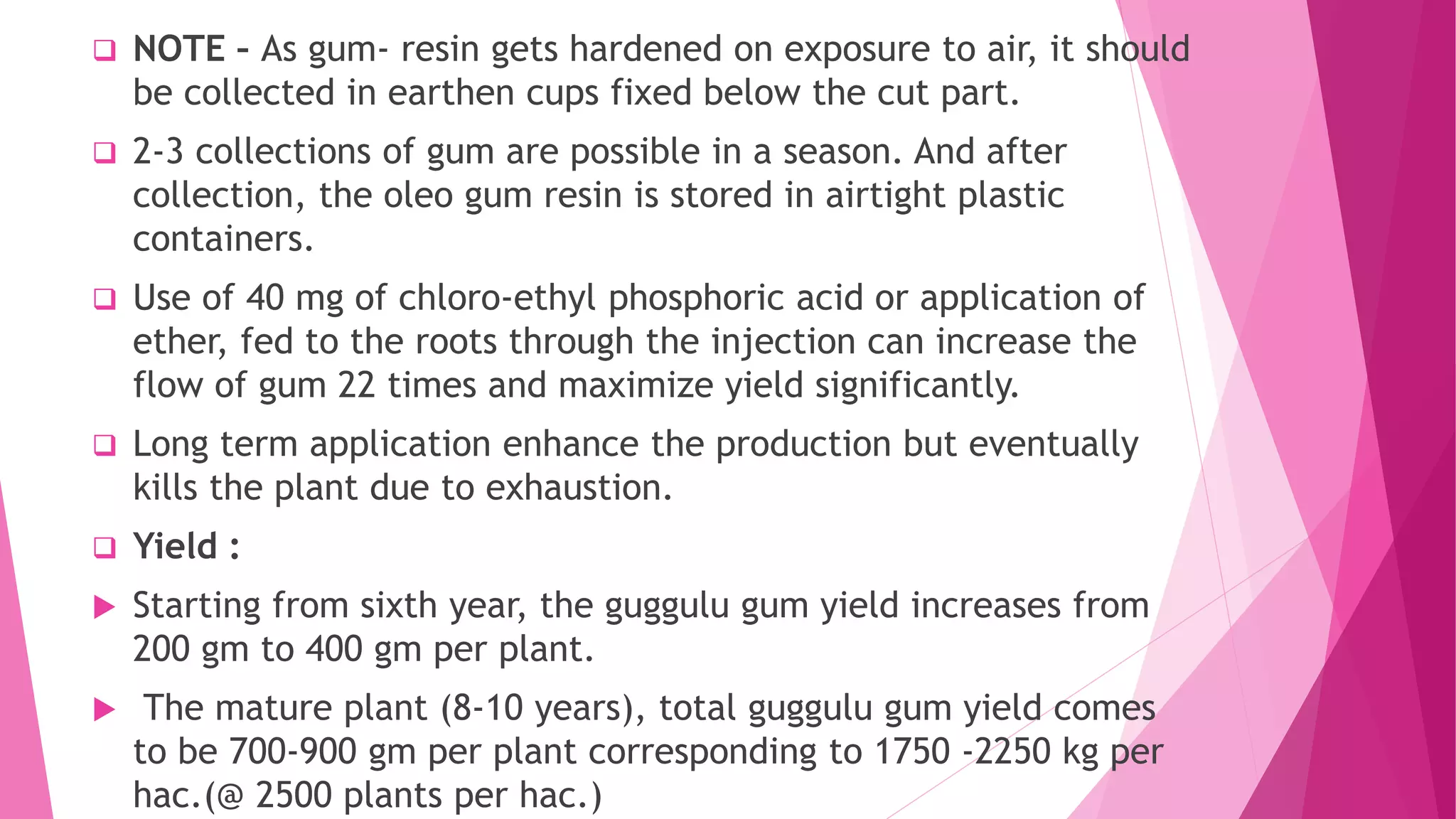  NOTE – As gum- resin gets hardened on exposure to air, it should
be collected in earthen cups fixed below the cut part.
 2-3 collections of gum are possible in a season. And after
collection, the oleo gum resin is stored in airtight plastic
containers.
 Use of 40 mg of chloro-ethyl phosphoric acid or application of
ether, fed to the roots through the injection can increase the
flow of gum 22 times and maximize yield significantly.
 Long term application enhance the production but eventually
kills the plant due to exhaustion.
 Yield :
 Starting from sixth year, the guggulu gum yield increases from
200 gm to 400 gm per plant.
 The mature plant (8-10 years), total guggulu gum yield comes
to be 700-900 gm per plant corresponding to 1750 -2250 kg per
hac.(@ 2500 plants per hac.)
 
