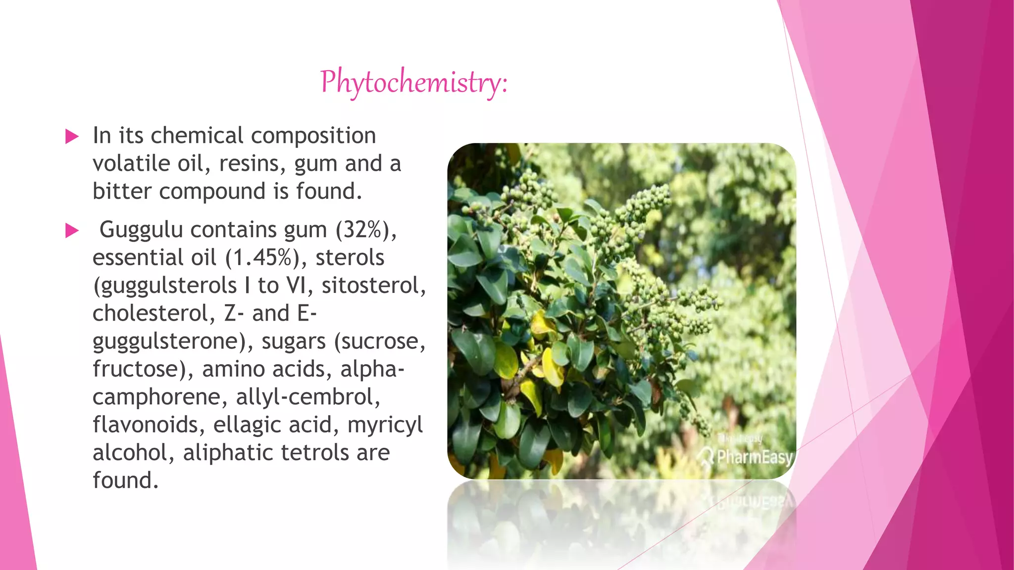 Phytochemistry:
 In its chemical composition
volatile oil, resins, gum and a
bitter compound is found.
 Guggulu contains gum (32%),
essential oil (1.45%), sterols
(guggulsterols I to VI, sitosterol,
cholesterol, Z- and E-
guggulsterone), sugars (sucrose,
fructose), amino acids, alpha-
camphorene, allyl-cembrol,
flavonoids, ellagic acid, myricyl
alcohol, aliphatic tetrols are
found.
 