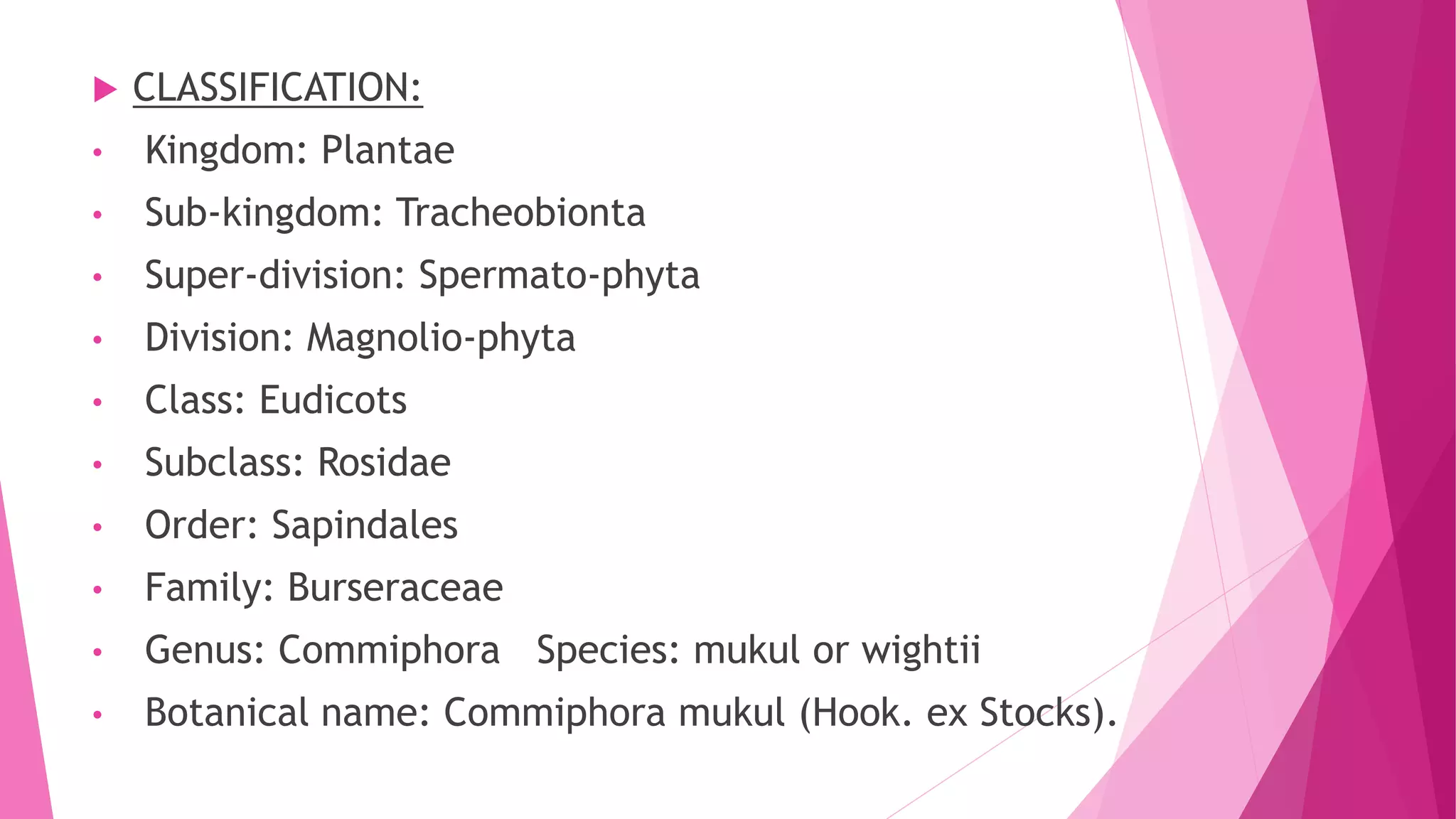  CLASSIFICATION:
• Kingdom: Plantae
• Sub-kingdom: Tracheobionta
• Super-division: Spermato-phyta
• Division: Magnolio-phyta
• Class: Eudicots
• Subclass: Rosidae
• Order: Sapindales
• Family: Burseraceae
• Genus: Commiphora Species: mukul or wightii
• Botanical name: Commiphora mukul (Hook. ex Stocks).
 