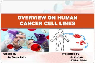 Guided by
Dr. Venu Talla
OVERVIEW ON HUMAN
CANCER CELL LINES
Presented by
J. Vishnu
RT/2016/604
 