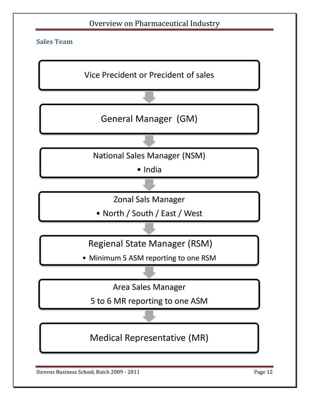Overview On Pharmaceutical Industry Pdf