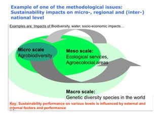 Example of one of the methodological issues:
Sustainability impacts on micro-, regional and (inter-)
national level
 