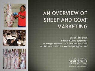 Susan Schoenian
Sheep & Goat Specialist
W. Maryland Research & Education Center
sschoen@umd.edu – www.sheepandgoat.com

 