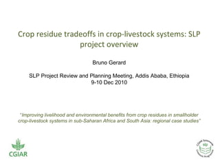 <ul><li>Crop residue tradeoffs in crop-livestock systems: SLP project overview </li></ul><ul><ul><li>Bruno Gerard </li></u...