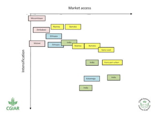 Crop residue tradeoffs in crop-livestock systems: SLP project overview