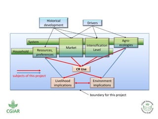 Crop residue tradeoffs in crop-livestock systems: SLP project overview